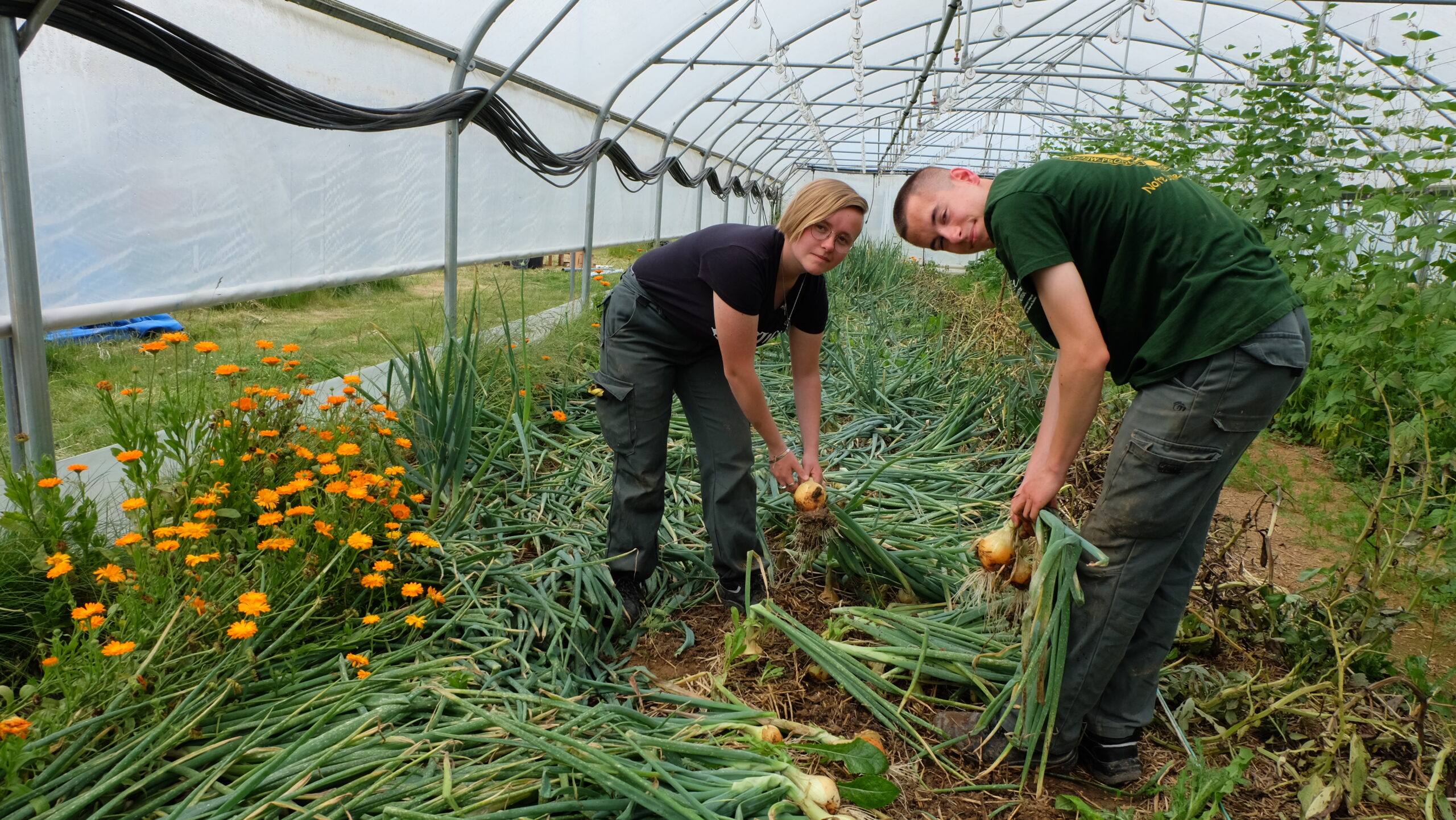 Une terre où germe la confiance