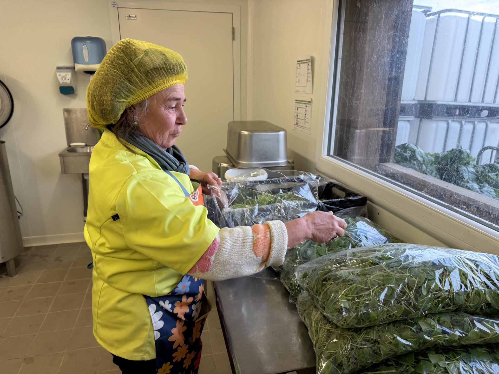 La solidarité tous azimuts